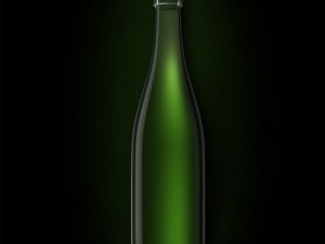 bottle of champagne 3D Model