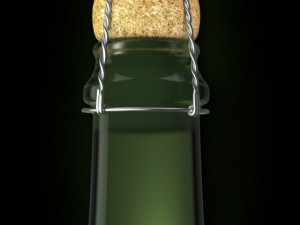 bottle of champagne 3D मॉडल