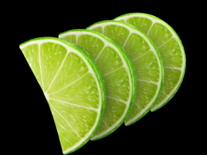 lemon slice Model 3D