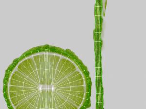 lemon slice 3D-Modell