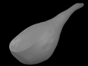 ham leg 3D 모델