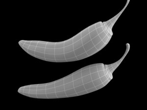 peppers 3Dモデル
