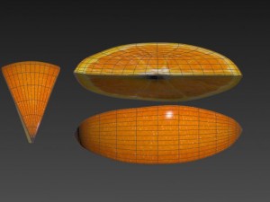 orange slice Modello 3D