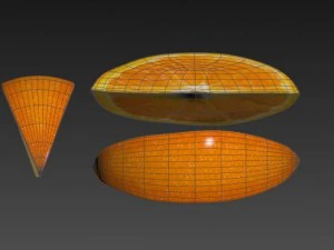 orange slice 3D Model