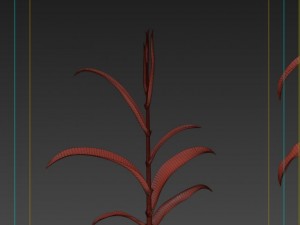 corn plant growth 3D Model
