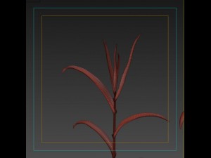 corn plant growth 3D Model