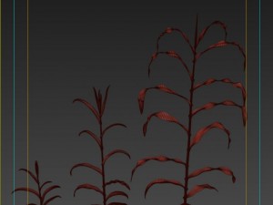corn plant growth 3D Model