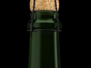 bottle of champagne Model 3D