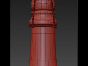 bottle of champagne Model 3D