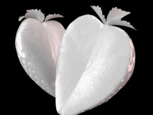 strawberry slice 3D Model