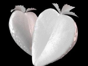strawberry slice 3D Model