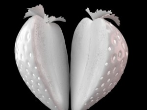 strawberry slice 3D Model