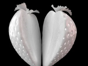 strawberry slice 3D Model