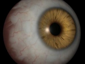 believe eye 3D Model