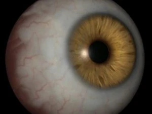 Glaube Auge 3D Modell