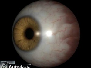 believe eye Modello 3D