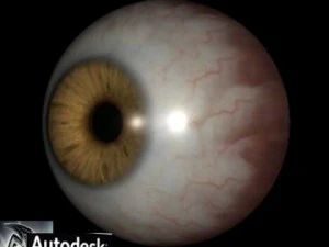 believe eye 3D Model