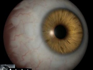 believe eye Modello 3D