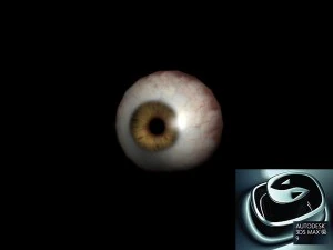 believe eye 3D Model