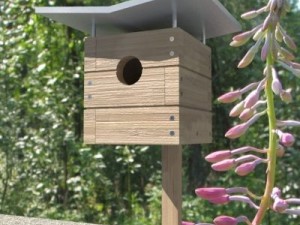 birdhouse 01 Model 3D