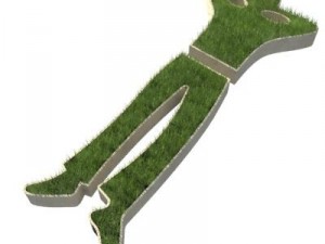 planter 00 Model 3D