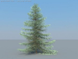 12 coniferous trees Modèle 3D
