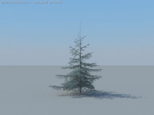 12 coniferous trees Modèle 3D