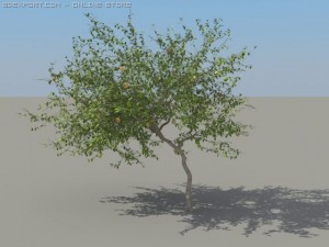 2 apple trees Modelo 3D