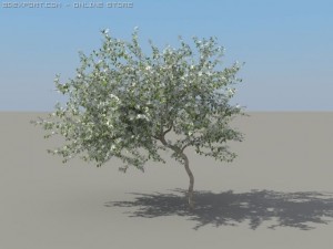 2 apple trees Modelo 3D