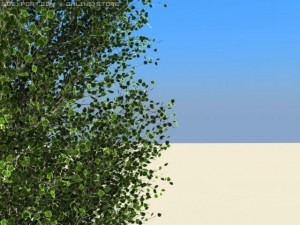 poplar Modelo 3D