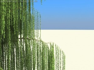 willow Modello 3D