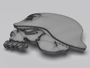metal mulisha skull 3D Model