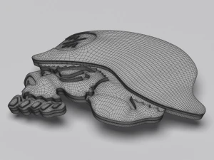 metal mulisha skull 3D Model