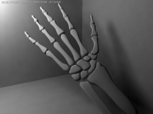 skeleton hand 3D Модель