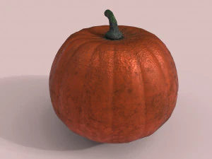 zucca Modello 3D