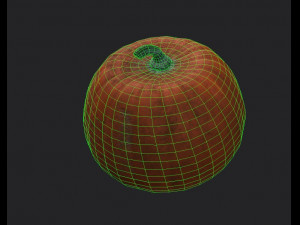 pumpkin 3D Модель
