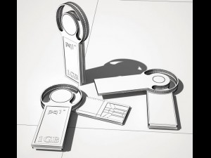 flash 3D Model