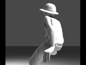 one piece monkey d luffy 3D Model