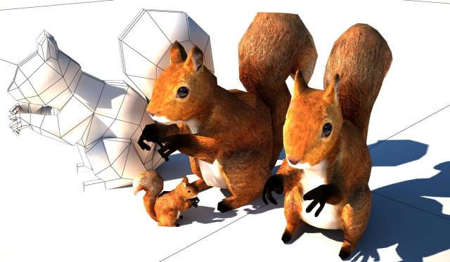 squirrel lowpoly 3D Model .c4d .max .obj .3ds .fbx .stl .blend 
