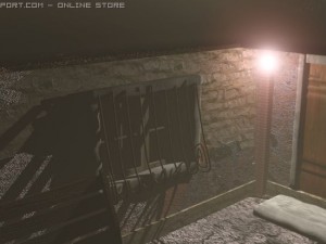 old house Modèle 3D
