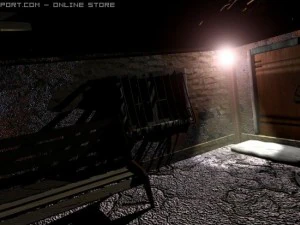 old house 3D Model