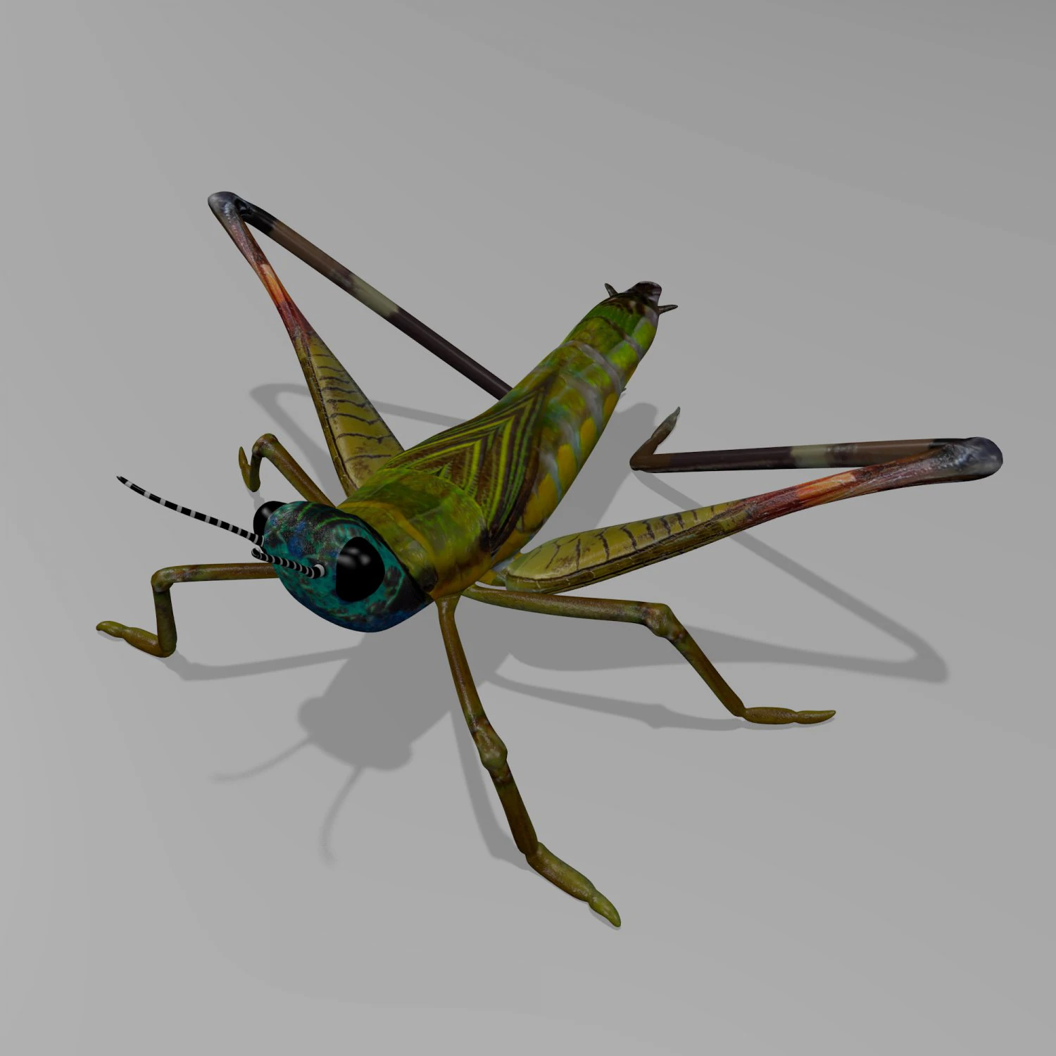 cricket 3D Model .c4d .max .obj .3ds .fbx .stl .blend 