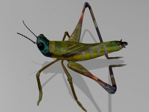 cricket Modelo 3D