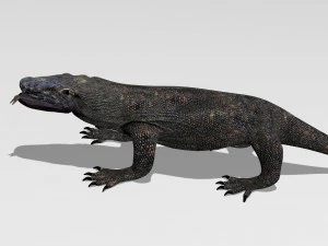 komodo dragon 3D Model