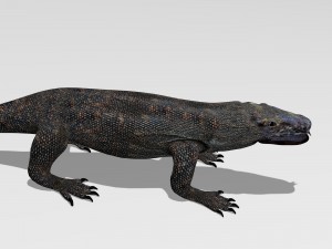 komodo dragon 3D Модель