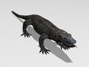 komodo dragon 3D Модель