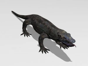 komodo dragon 3D Model