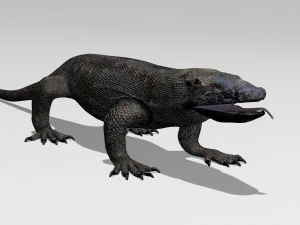 komodo dragon 3D Model