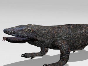 komodo dragon 3D Модель