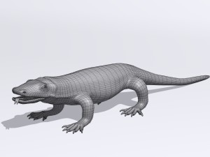 komodo dragon 3D Модель